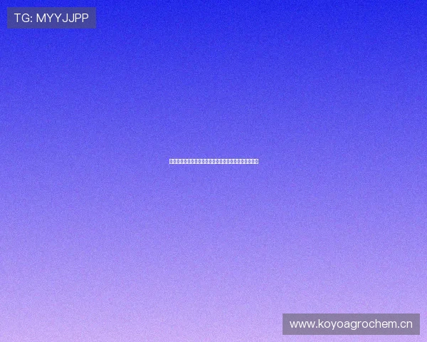 完美游戏官方网站：探索游戏世界的无尽可能与精彩内容